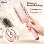 Electric Spray Retractable Air Cushion Hair Comb – Scalp Massage & Hair Care Comb